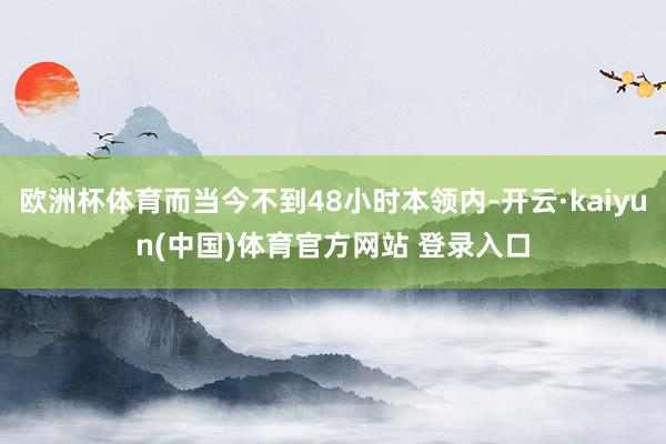 欧洲杯体育而当今不到48小时本领内-开云·kaiyun(中国)体育官方网站 登录入口