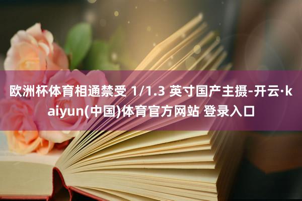 欧洲杯体育相通禁受 1/1.3 英寸国产主摄-开云·kaiyun(中国)体育官方网站 登录入口