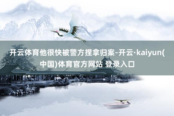 开云体育他很快被警方捏拿归案-开云·kaiyun(中国)体育官方网站 登录入口