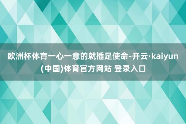 欧洲杯体育一心一意的就插足使命-开云·kaiyun(中国)体育官方网站 登录入口