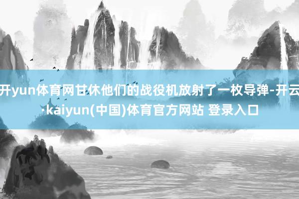 开yun体育网甘休他们的战役机放射了一枚导弹-开云·kaiyun(中国)体育官方网站 登录入口