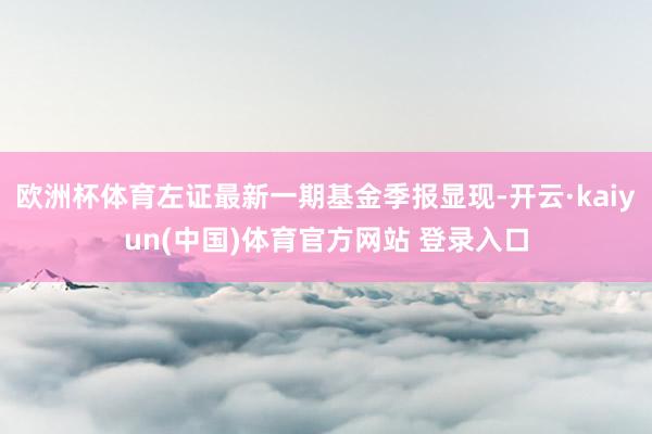 欧洲杯体育左证最新一期基金季报显现-开云·kaiyun(中国)体育官方网站 登录入口