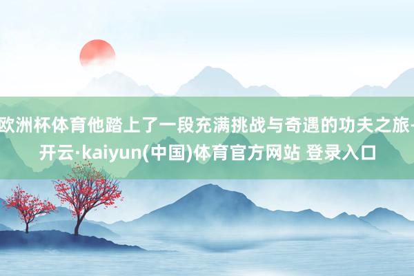 欧洲杯体育他踏上了一段充满挑战与奇遇的功夫之旅-开云·kaiyun(中国)体育官方网站 登录入口
