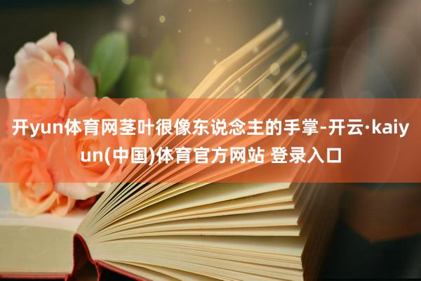 开yun体育网茎叶很像东说念主的手掌-开云·kaiyun(中国)体育官方网站 登录入口