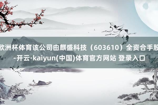 欧洲杯体育该公司由麒盛科技(603610)全资合手股-开云·kaiyun(中国)体育官方网站 登录入口