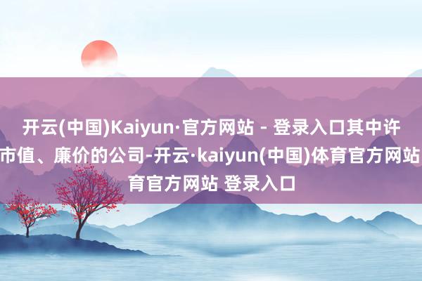 开云(中国)Kaiyun·官方网站 - 登录入口其中许多齐是小市值、廉价的公司-开云·kaiyun(中国)体育官方网站 登录入口