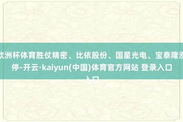 欧洲杯体育胜仗精密、比依股份、国星光电、宝泰隆涨停-开云·kaiyun(中国)体育官方网站 登录入口