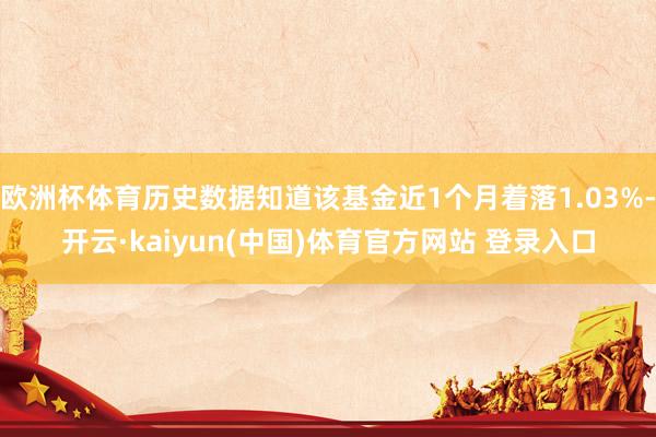 欧洲杯体育历史数据知道该基金近1个月着落1.03%-开云·kaiyun(中国)体育官方网站 登录入口