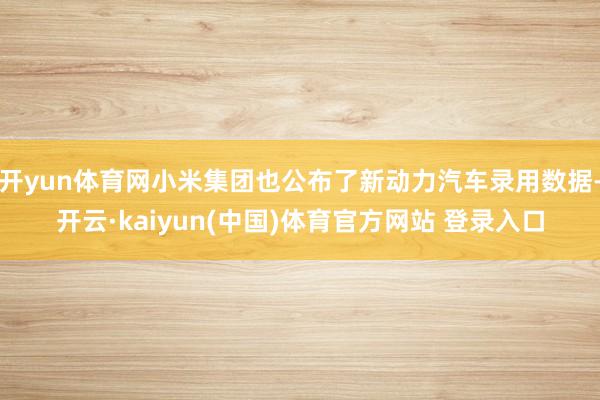 开yun体育网小米集团也公布了新动力汽车录用数据-开云·kaiyun(中国)体育官方网站 登录入口