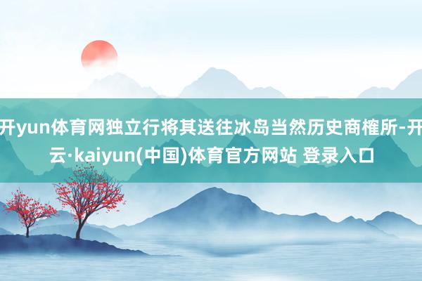 开yun体育网独立行将其送往冰岛当然历史商榷所-开云·kaiyun(中国)体育官方网站 登录入口