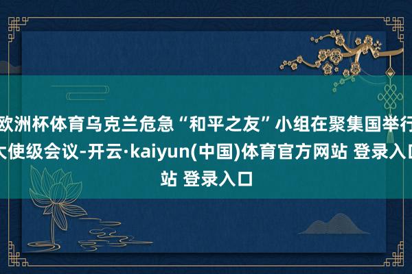 欧洲杯体育乌克兰危急“和平之友”小组在聚集国举行大使级会议-开云·kaiyun(中国)体育官方网站 登录入口