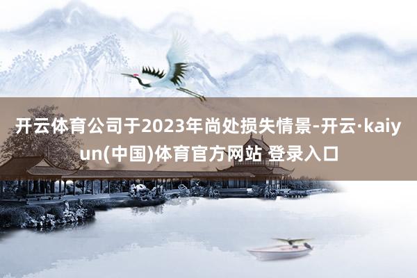 开云体育公司于2023年尚处损失情景-开云·kaiyun(中国)体育官方网站 登录入口